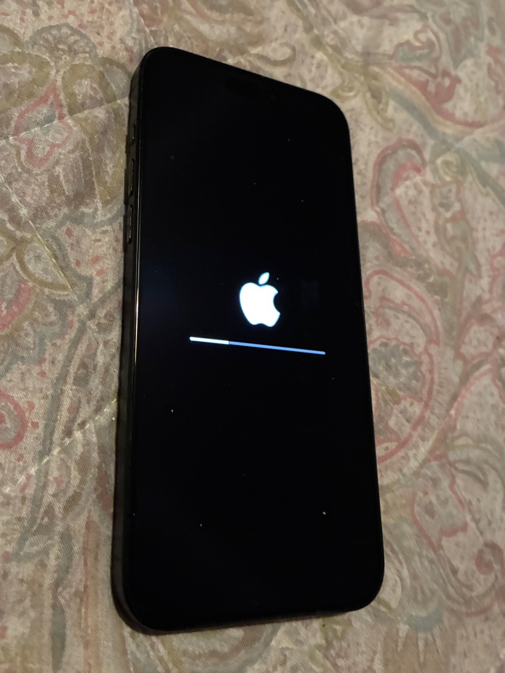 iPhone 15 Pro Max 256 GB Locked (Xfinity)